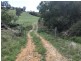424 Paddock Creek Road, Caffreys Flat via, Wingham NSW 2429