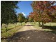 255 Cooks Road, Elands NSW 2429