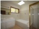 255 Cooks Road, Elands NSW 2429