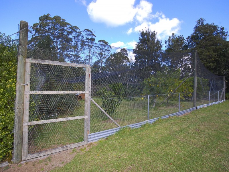 255 Cooks Road, Elands NSW 2429