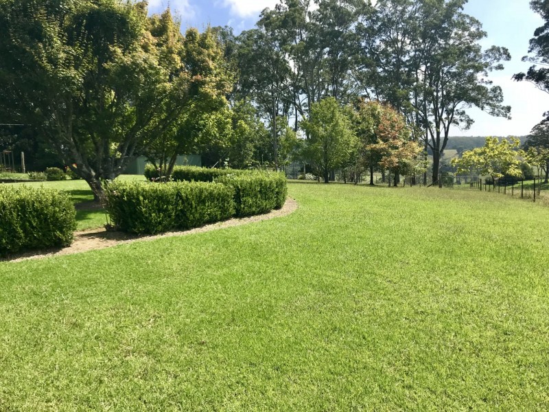 255 Cooks Road, Elands NSW 2429
