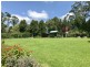 255 Cooks Road, Elands NSW 2429