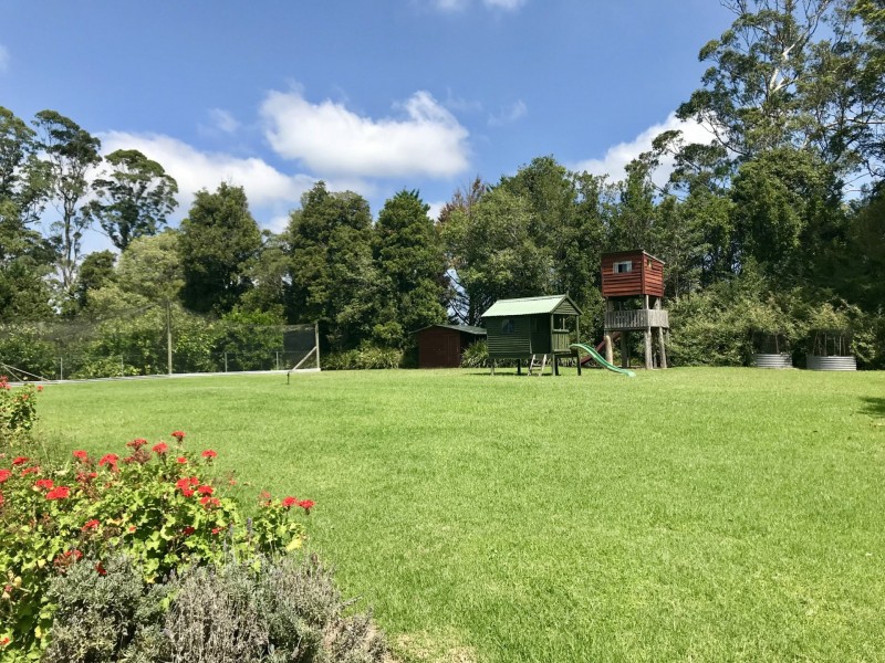 255 Cooks Road, Elands NSW 2429