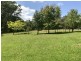 255 Cooks Road, Elands NSW 2429