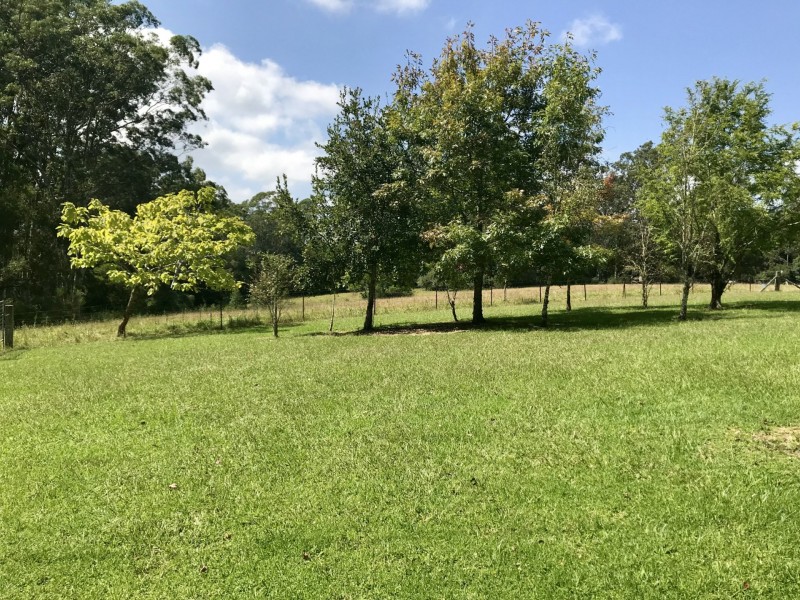 255 Cooks Road, Elands NSW 2429