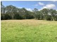 255 Cooks Road, Elands NSW 2429