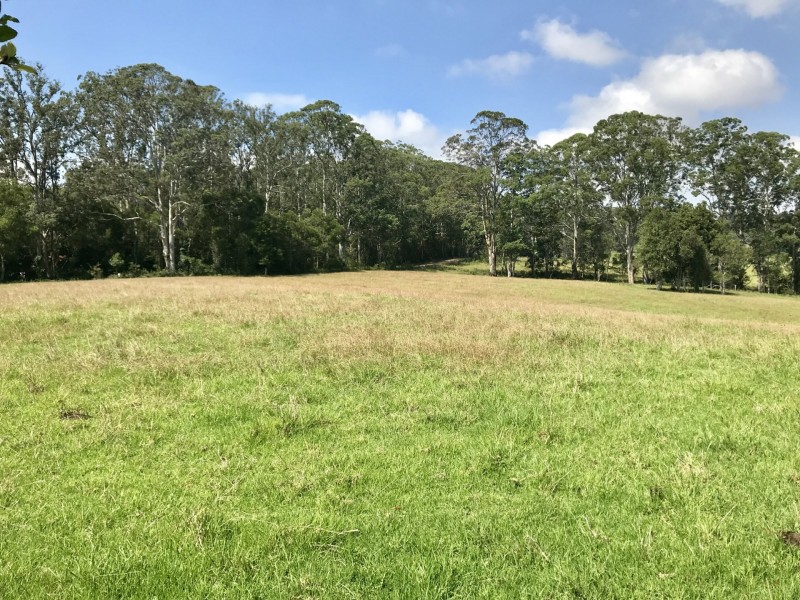 255 Cooks Road, Elands NSW 2429