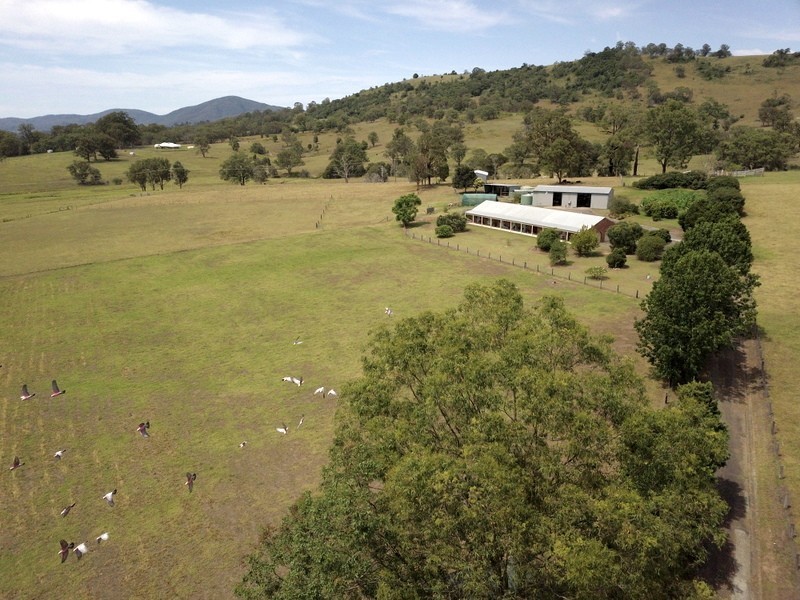 3 Jacks Road, Killawarra NSW 2429