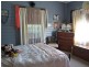 12 William Street, Wingham NSW 2429