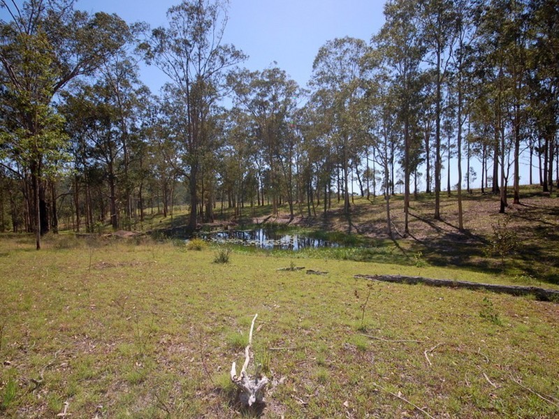 Dollys Flat NSW 2429