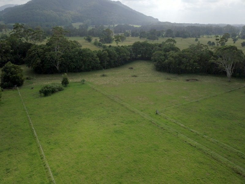 37 Wonga Road, Moorland NSW 2443