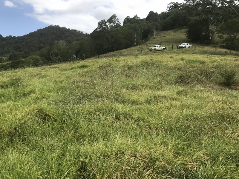 Mooral Creek NSW 2429