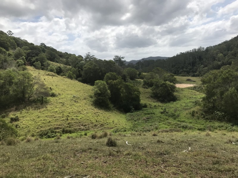 Mooral Creek NSW 2429