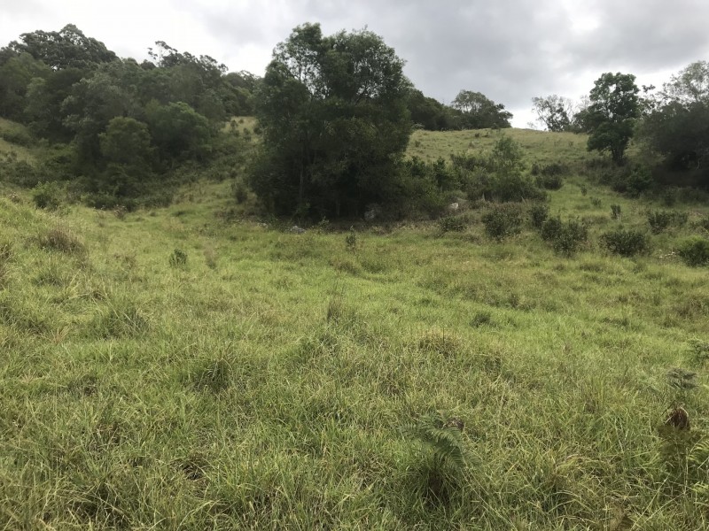 Mooral Creek NSW 2429