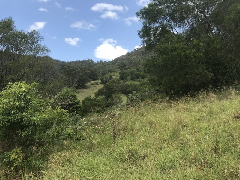 Mooral Creek NSW 2429