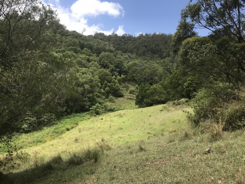 Mooral Creek NSW 2429