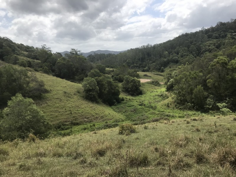 Mooral Creek NSW 2429