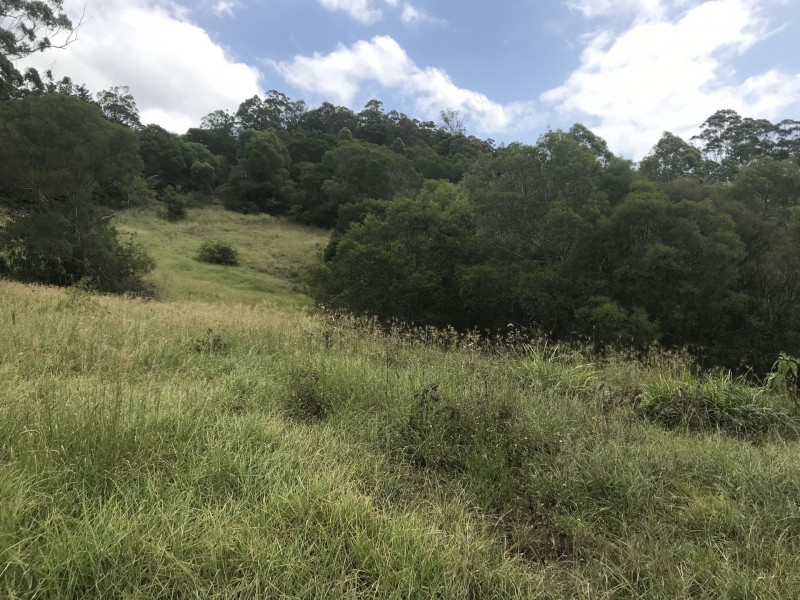 Mooral Creek NSW 2429