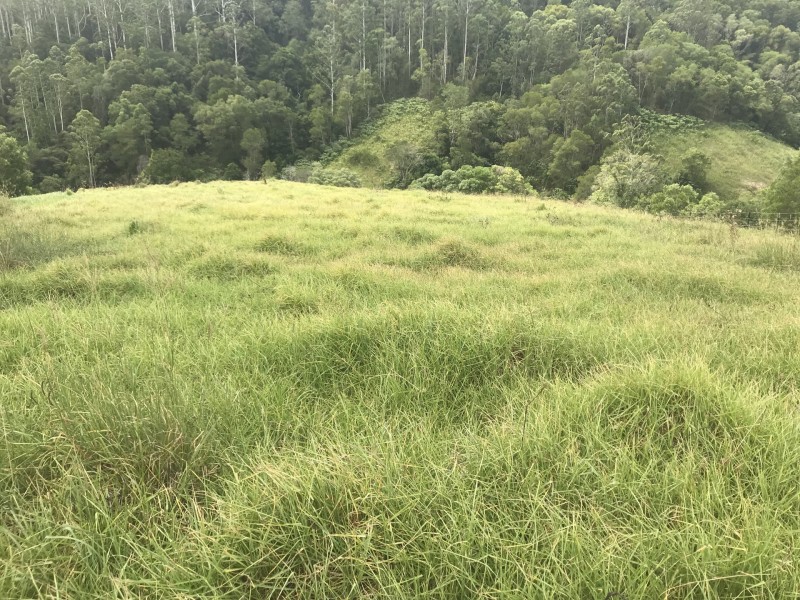 Mooral Creek NSW 2429