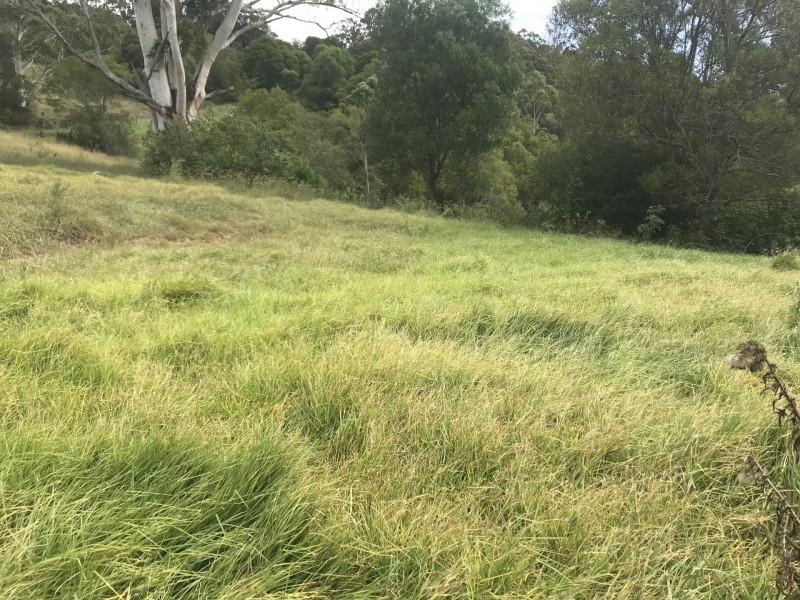 Mooral Creek NSW 2429