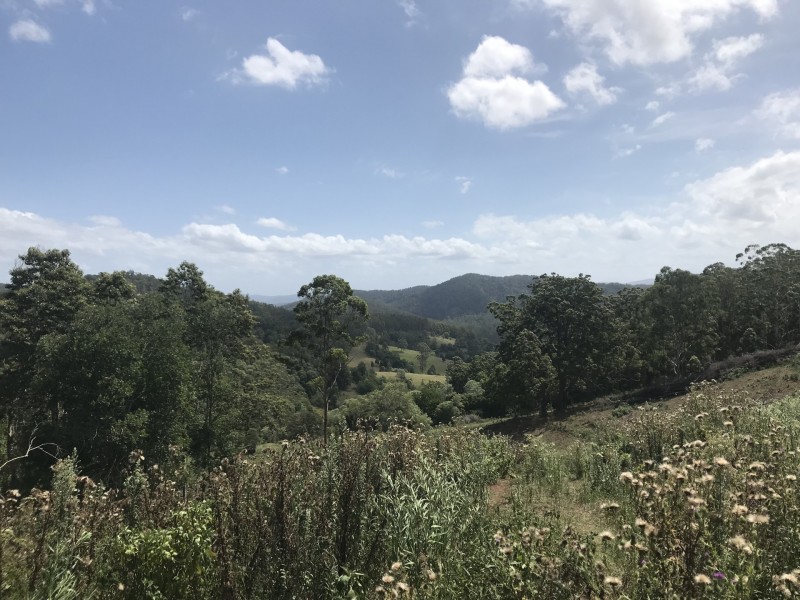 Mooral Creek NSW 2429