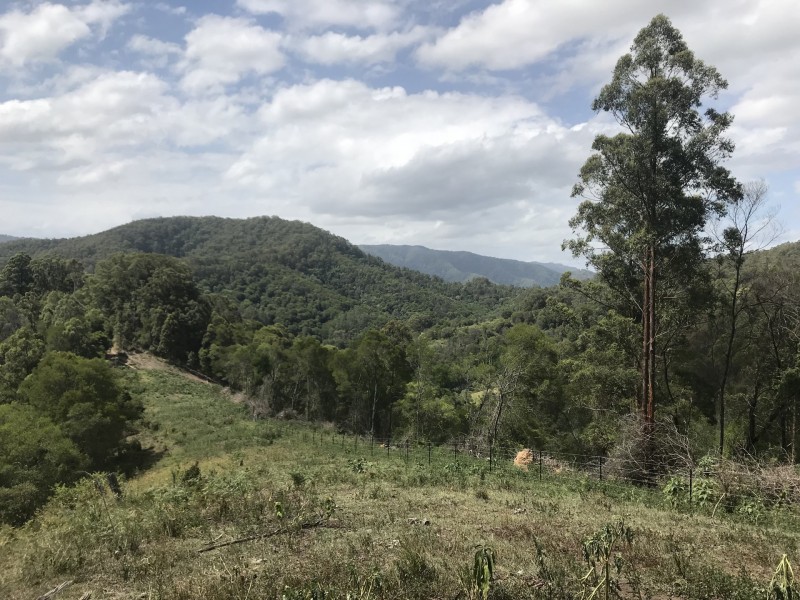 Mooral Creek NSW 2429