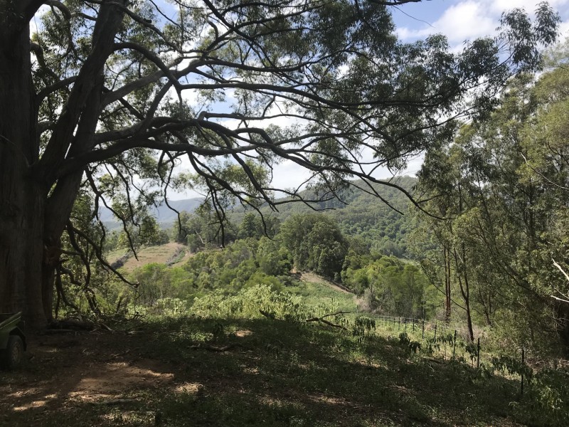 Mooral Creek NSW 2429