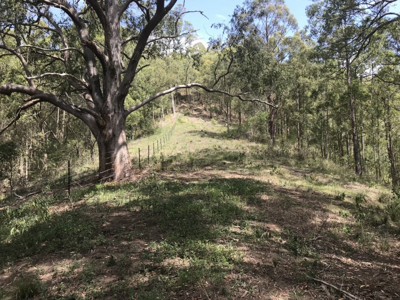 Mooral Creek NSW 2429