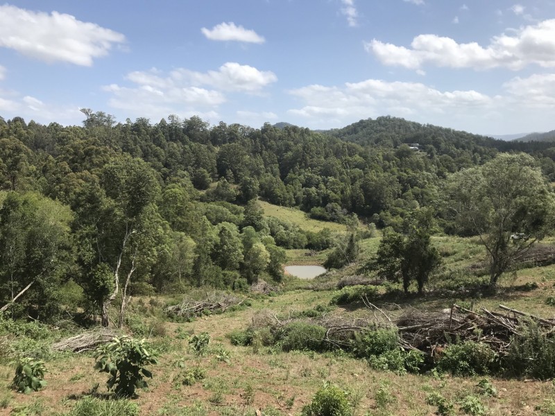 Mooral Creek NSW 2429