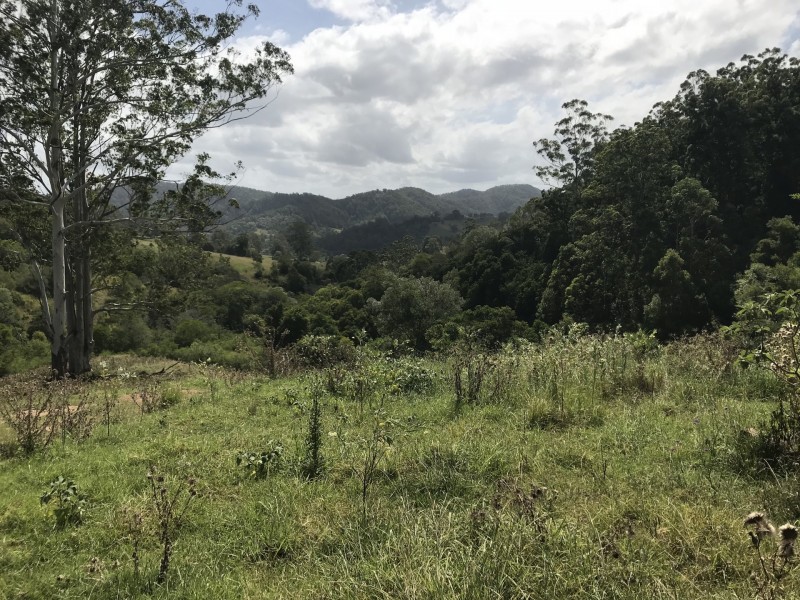 Mooral Creek NSW 2429