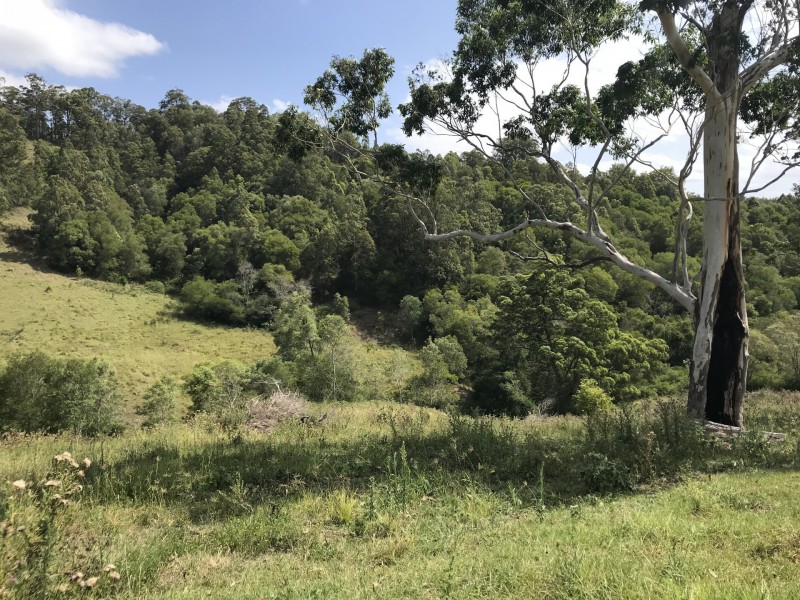 Mooral Creek NSW 2429