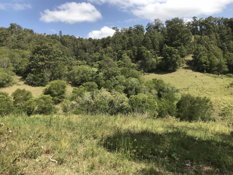 Mooral Creek NSW 2429