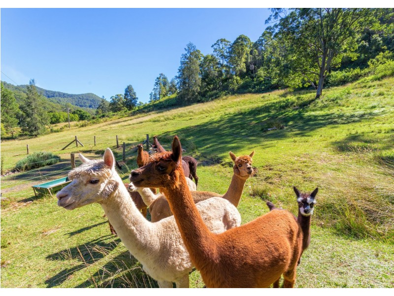 8 Bobin Creek Road, BOBIN via, Wingham NSW 2429
