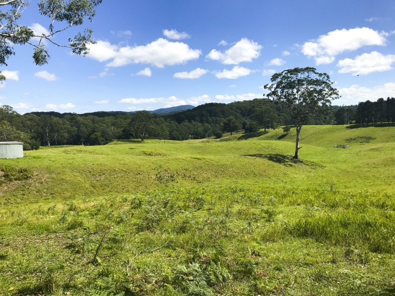 203 Cooks Road, Elands NSW 2429