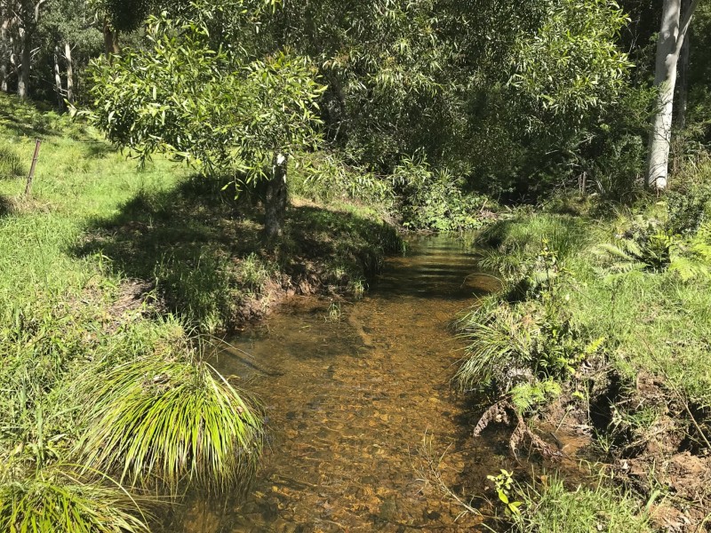 203 Cooks Road, Elands NSW 2429