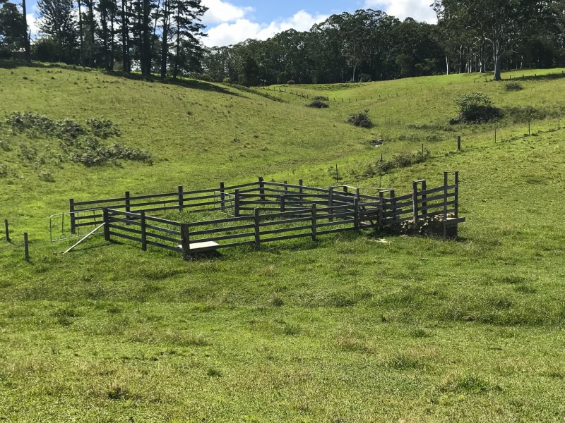 203 Cooks Road, Elands NSW 2429