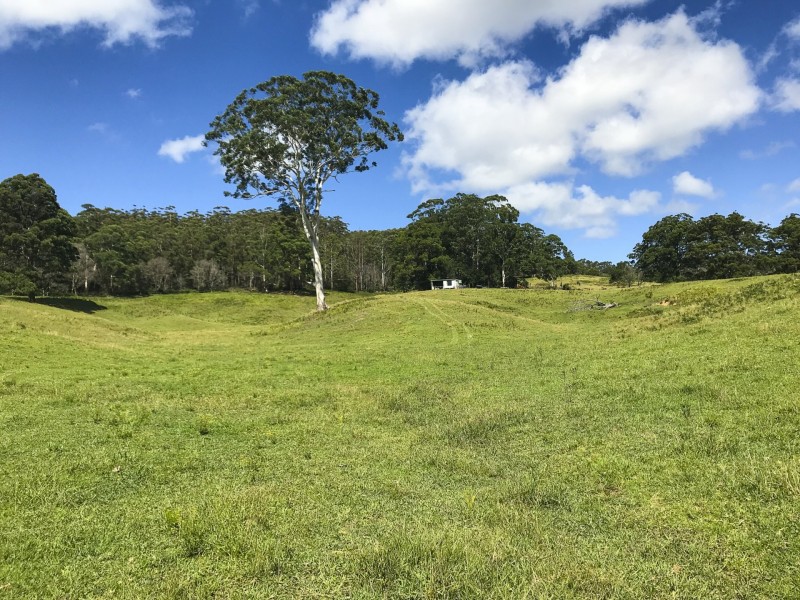 203 Cooks Road, Elands NSW 2429