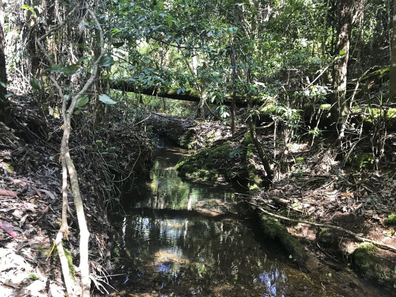 203 Cooks Road, Elands NSW 2429