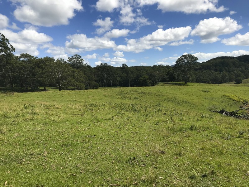 203 Cooks Road, Elands NSW 2429