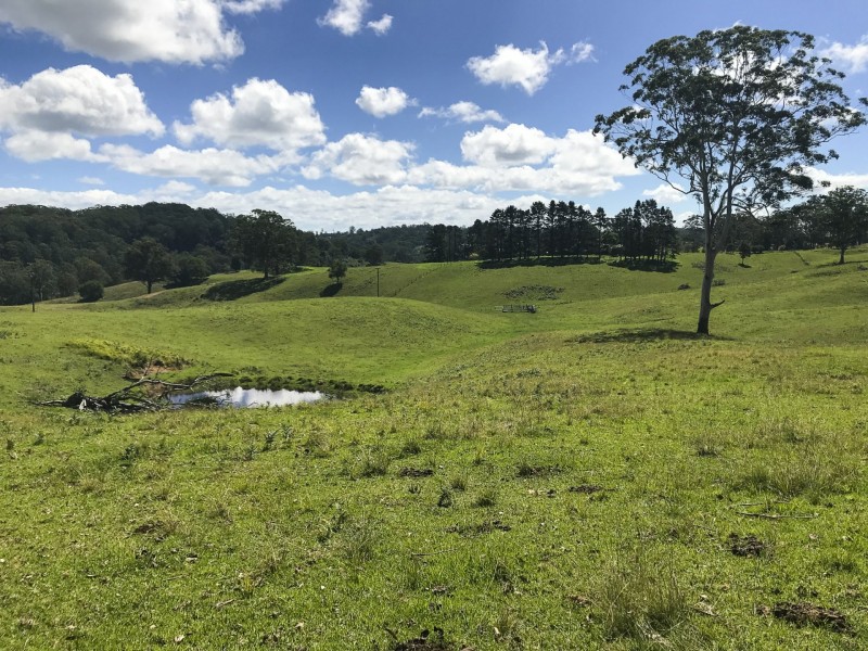 203 Cooks Road, Elands NSW 2429