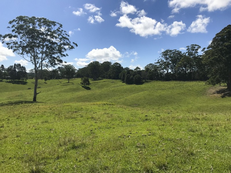 203 Cooks Road, Elands NSW 2429