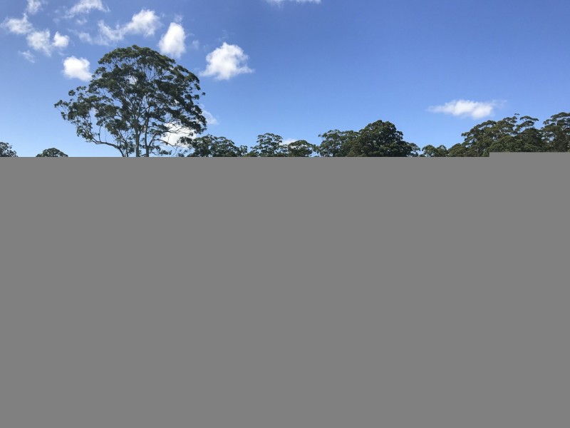 203 Cooks Road, Elands NSW 2429