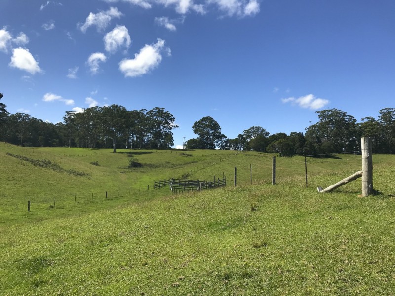 203 Cooks Road, Elands NSW 2429