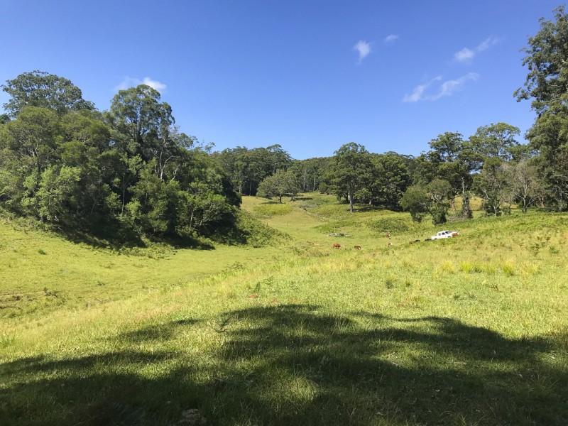 203 Cooks Road, Elands NSW 2429