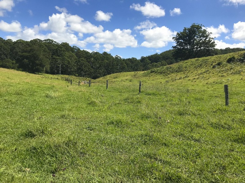 203 Cooks Road, Elands NSW 2429