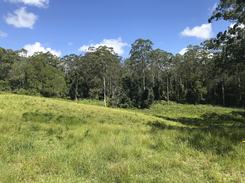 203 Cooks Road, Elands NSW 2429