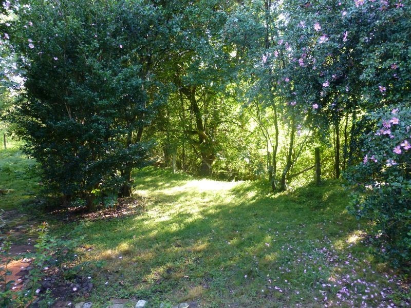1722 Comboyne Road, Killabakh NSW 2429