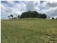 Wingham NSW 2429