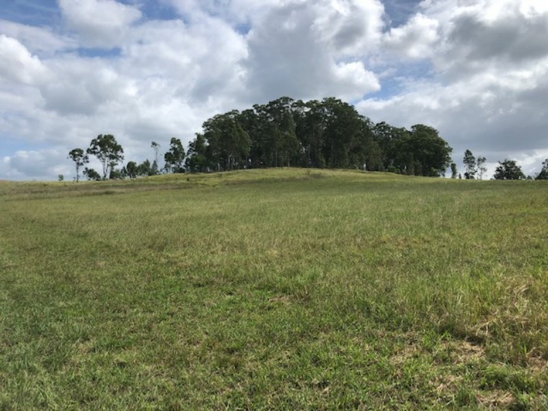 Wingham NSW 2429
