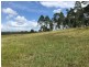 Wingham NSW 2429